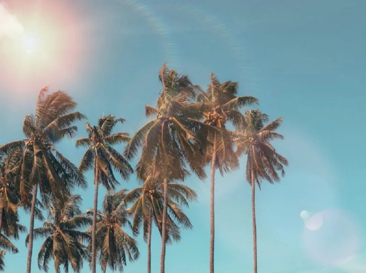 日志留存和数据保留的监管要求数据安全-治理-指南数据安全治理指南