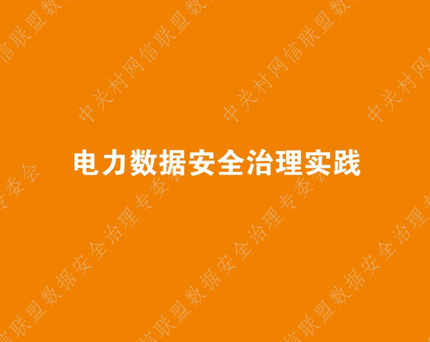 电力数据安全治理实践