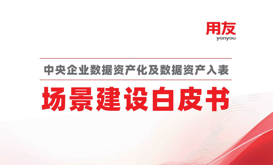 中央企业数据资产化及数据资产入表场景建设白皮书（2024）