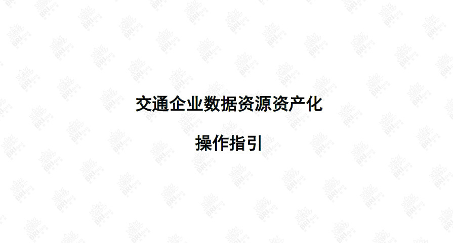 企业数据资源资产化操作指引