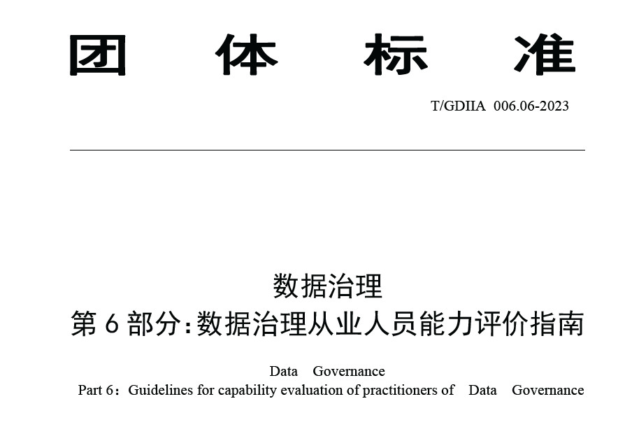 数据治理从业人员能力评价指南