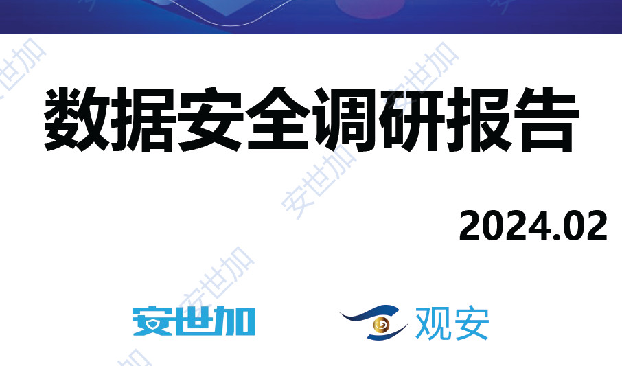 数据安全调研报告（2024）
