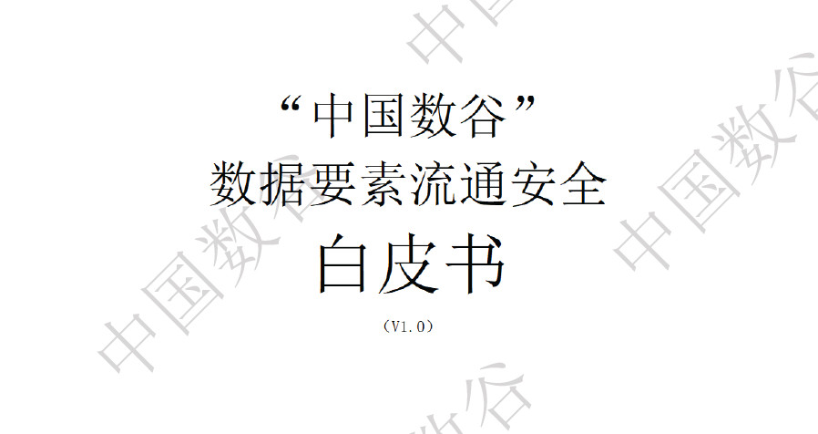 数据要素流通安全白皮书（2024）