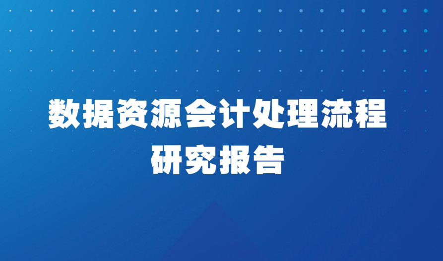 数据资源会计处理流程研究报告（2024）