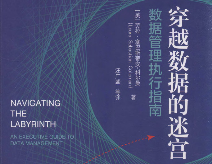 穿越数据的迷宫：数据管理执行指南