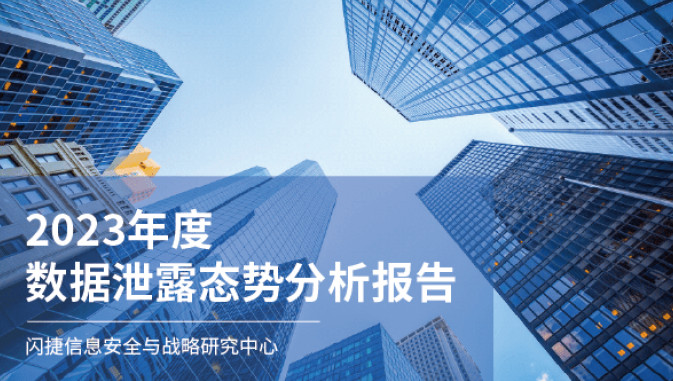 2023年度数据泄露态势分析报告