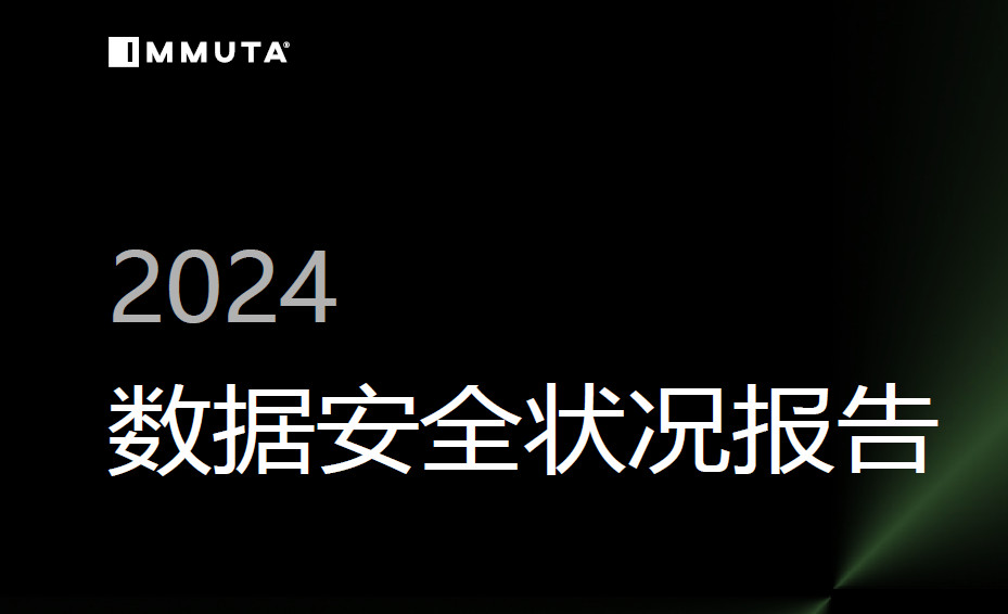 2024年数据安全状况报告