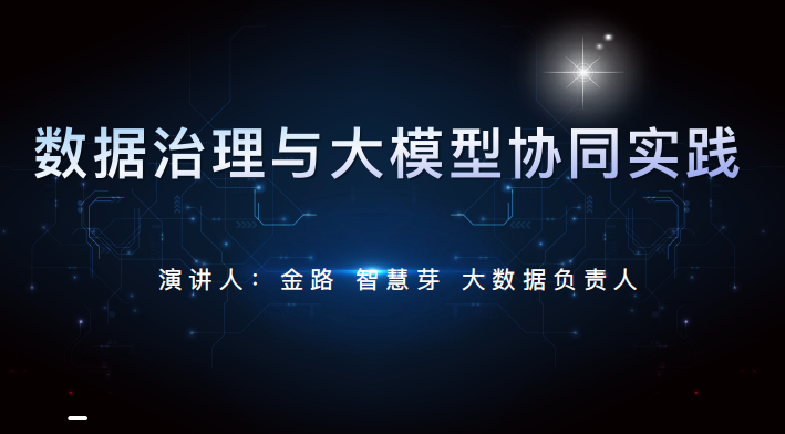 大模型赋能数据治理实践