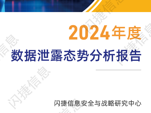2024年度数据泄露态势分析报告（闪捷信息）