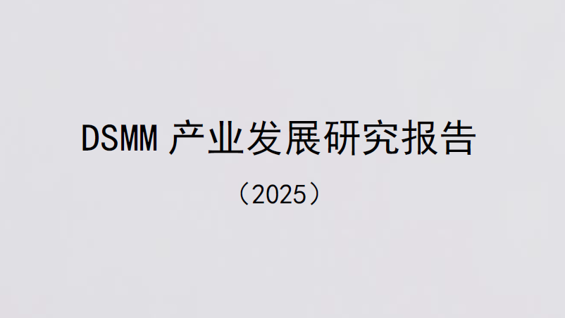 DSMM 产业发展研究报告（2025）