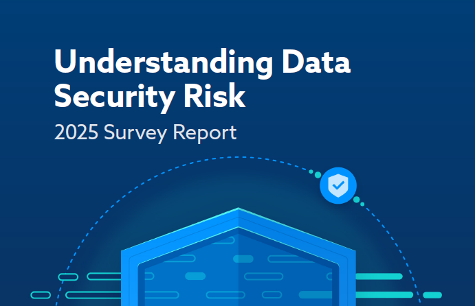 2025年数据安全风险调查报告