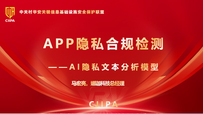 APP 隐私合规检测：AI 隐私文本分析模型