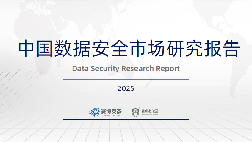 中国数据安全市场研究报告（2025）数据安全-治理-指南数据安全治理指南
