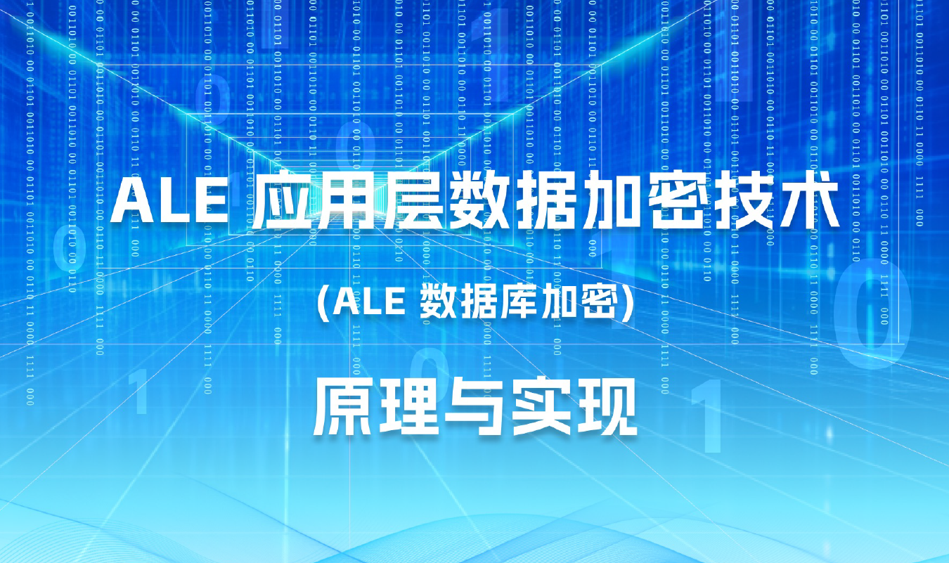 应用层数据加密技术原理与实现（2025）数据安全-治理-指南数据安全治理指南