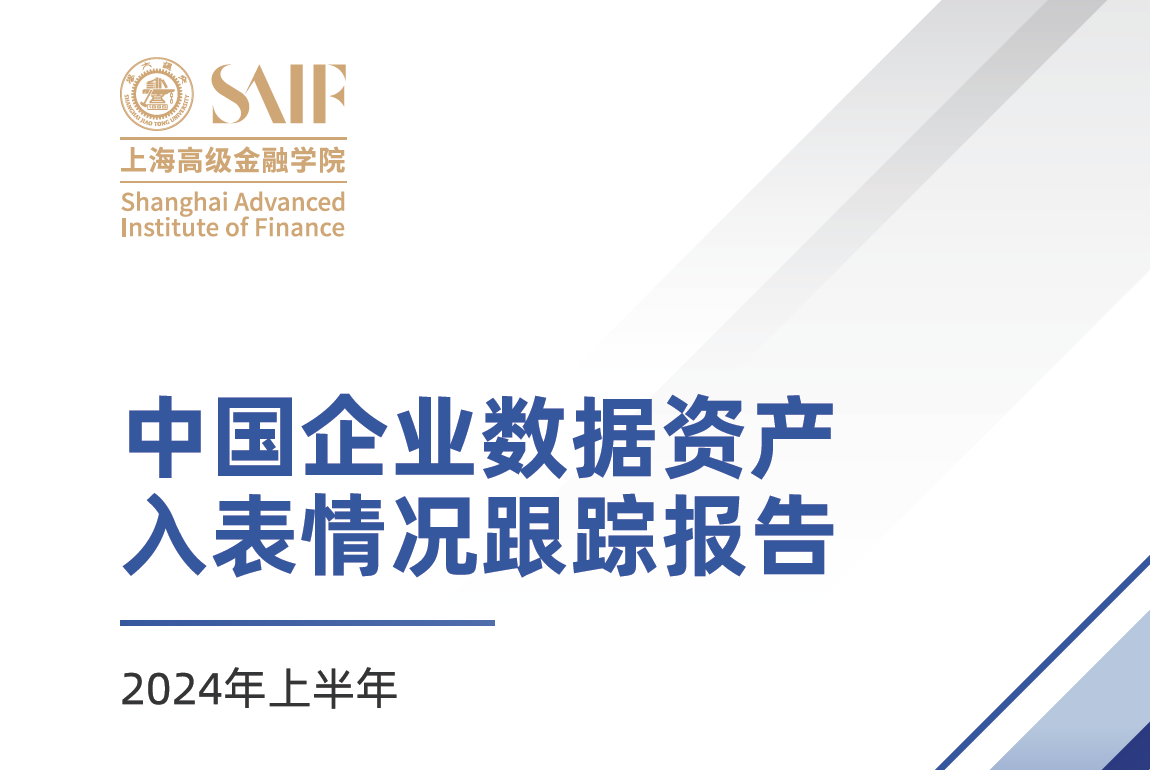 2024年上半年中国企业数据资产入表情况跟踪报告数据安全-治理-指南数据安全治理指南