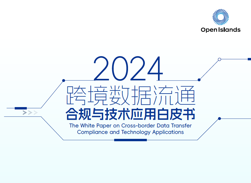 2024跨境数据流通合规与技术应用白皮书数据安全-治理-指南数据安全治理指南