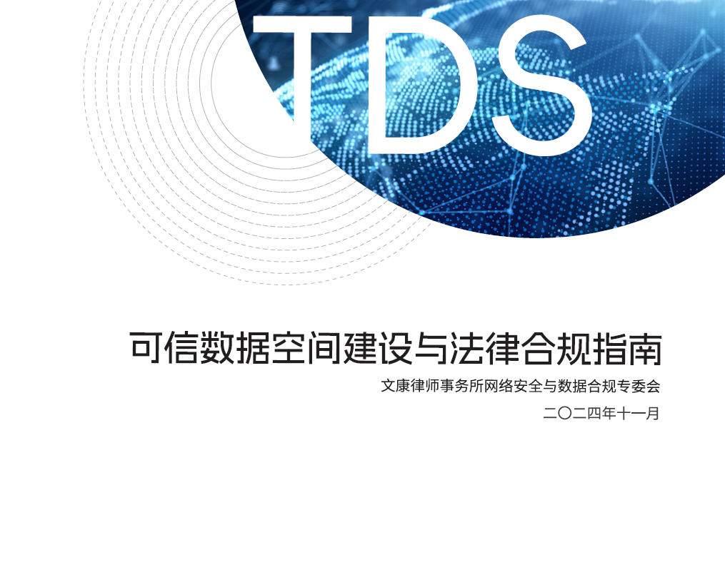 可信数据空间建设与法律合规指南（2024）数据安全-治理-指南数据安全治理指南
