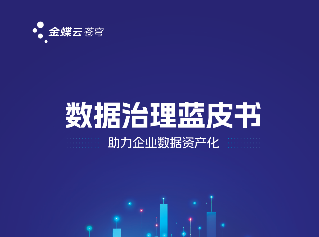 数据治理蓝皮书：助力企业数据资产化数据安全-治理-指南数据安全治理指南