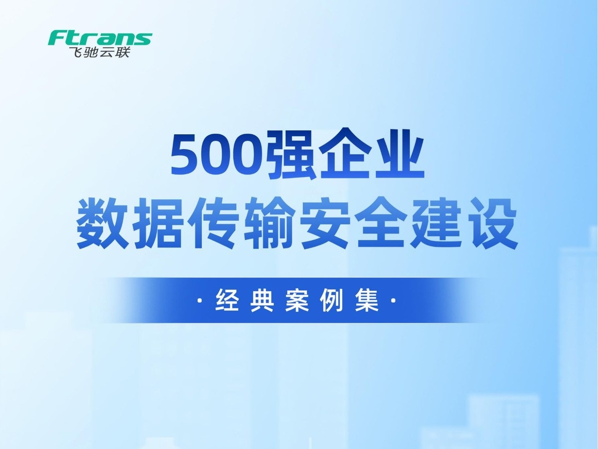 500强企业数据传输安全建设经典案例集