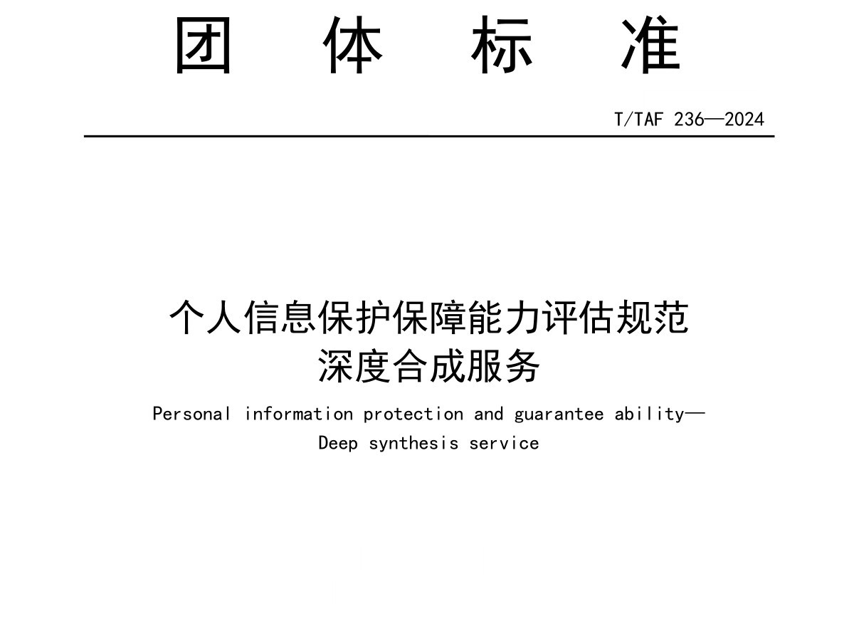 个人信息保护保障能力评估规范 深度合成服务数据安全-治理-指南数据安全治理指南