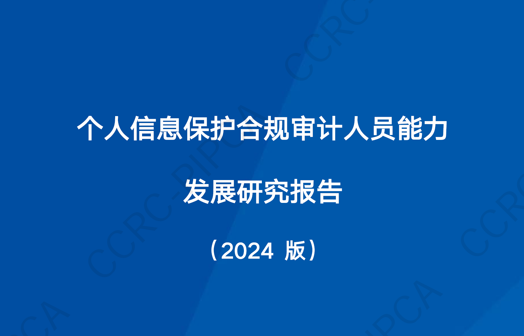 个人信息保护合规审计人员能力发展研究报告（2024版）数据安全-治理-指南数据安全治理指南