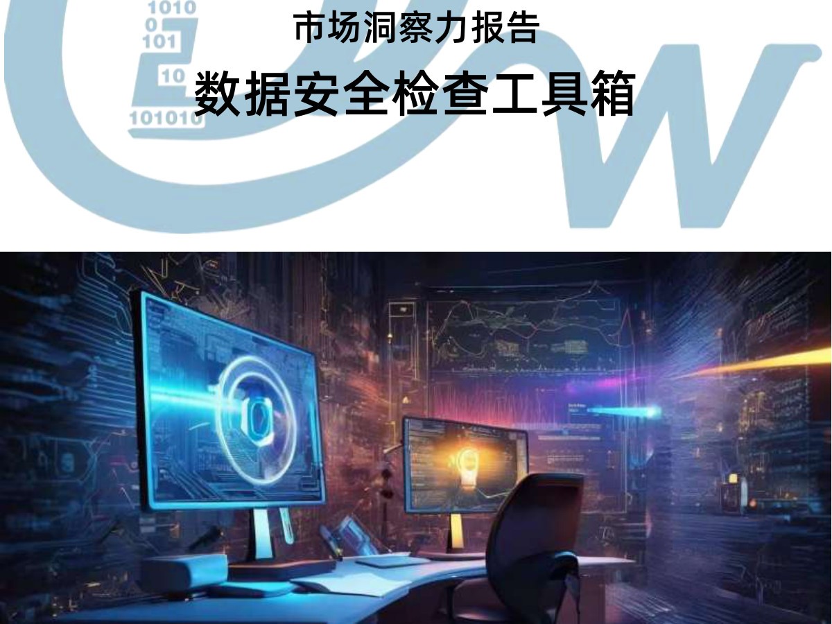 市场洞察力报告-数据安全检查工具箱
