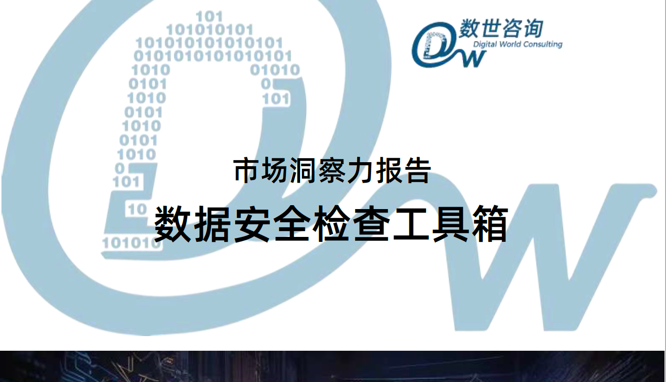 市场洞察力报告-数据安全检查工具箱数据安全-治理-指南数据安全治理指南