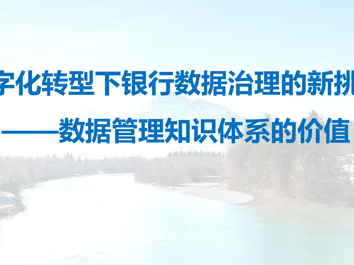 数字化转型下银行数据治理的新挑战：数据管理知识体系的价值数据安全-治理-指南数据安全治理指南