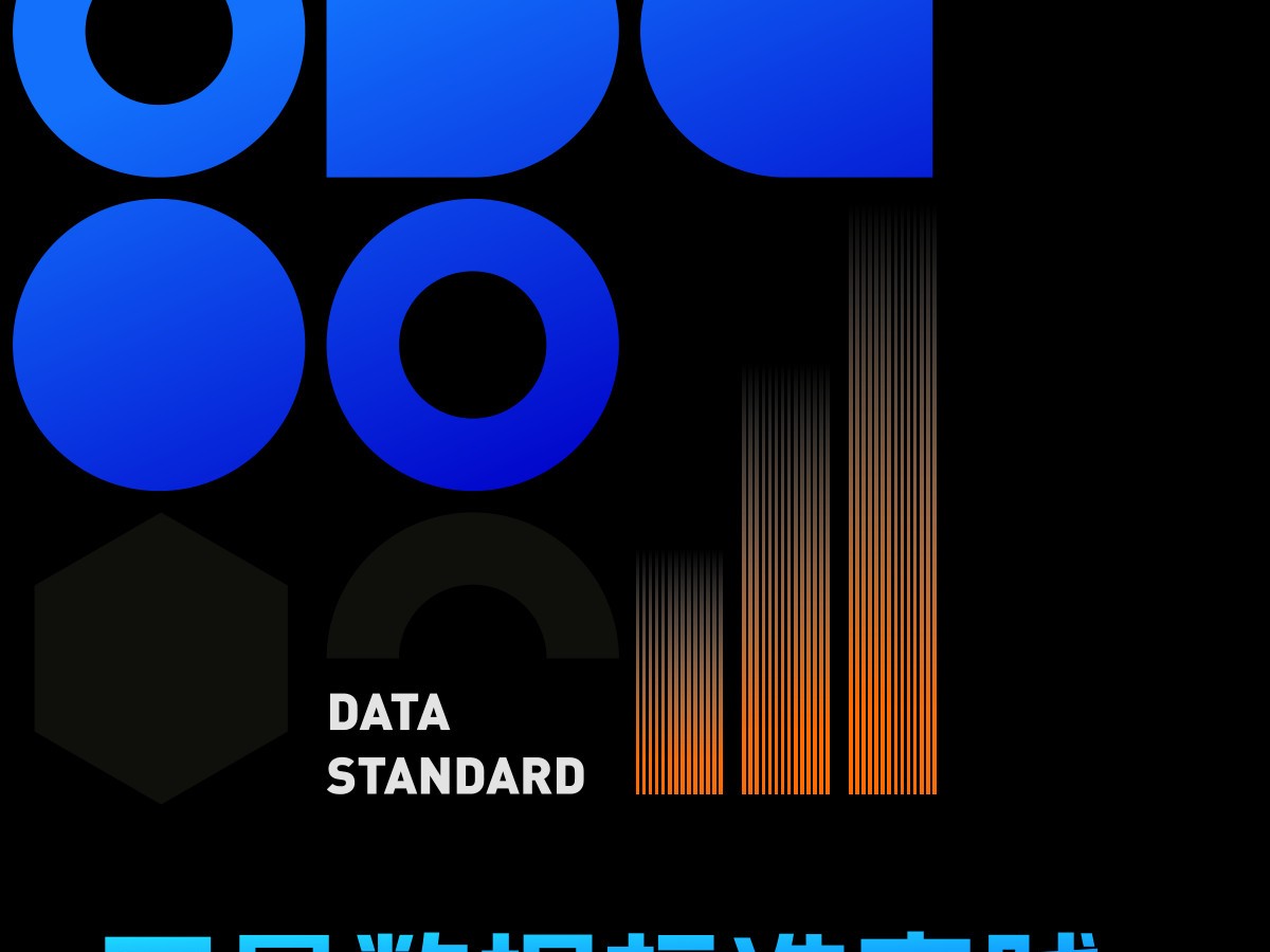 数据标准实践白皮书（2024版）