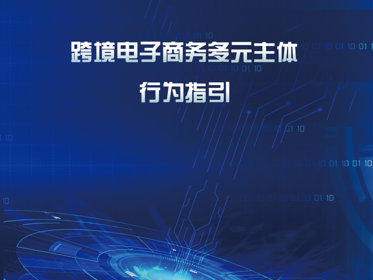 跨境电子商务多元主体行为指引数据安全-治理-指南数据安全治理指南