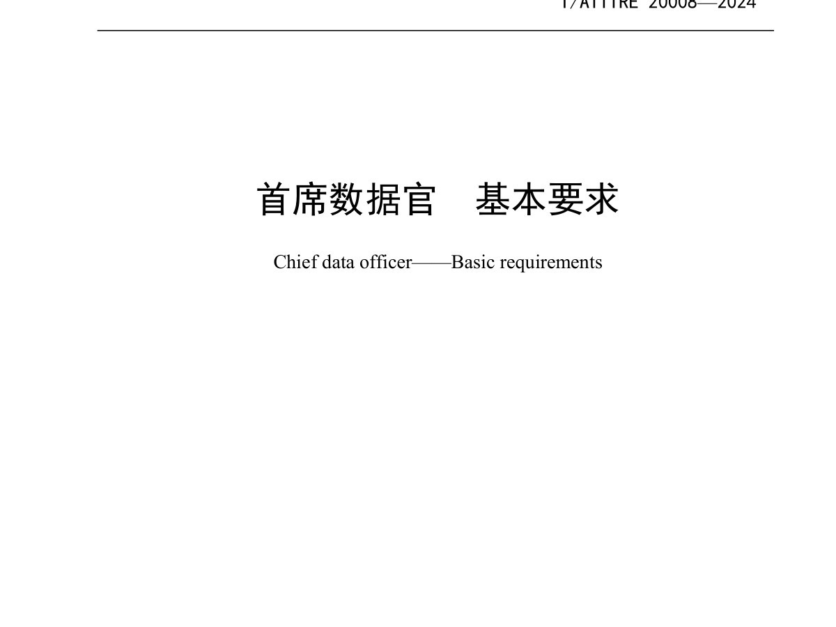 首席数据官 基本要求