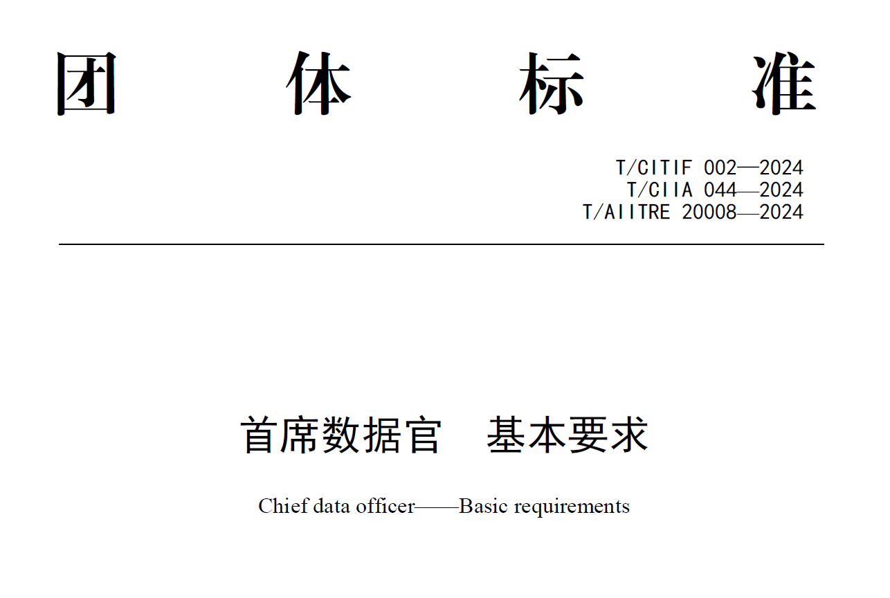首席数据官 基本要求数据安全-治理-指南数据安全治理指南