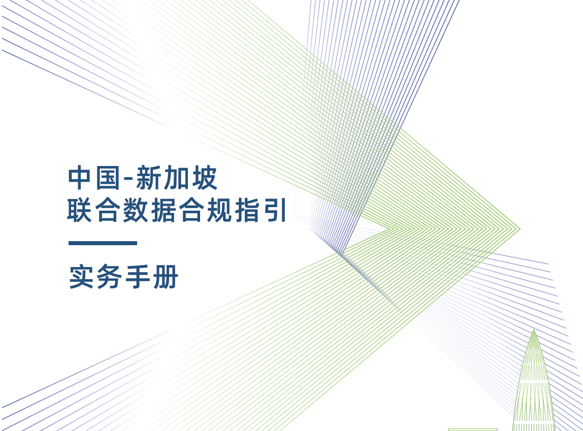 中国-新加坡联合数据合规指引：实务手册数据安全-治理-指南数据安全治理指南