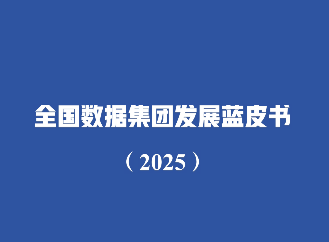 全国数据集团发展蓝皮书（2025）数据安全-治理-指南数据安全治理指南
