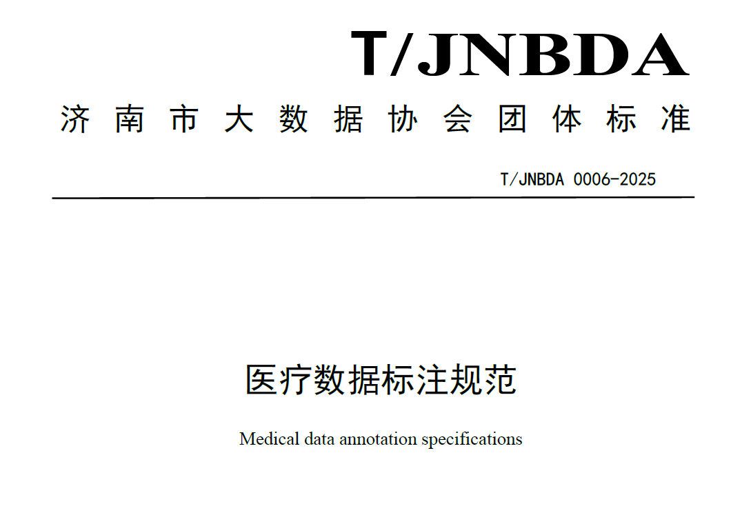 医疗数据标注规范数据安全-治理-指南数据安全治理指南