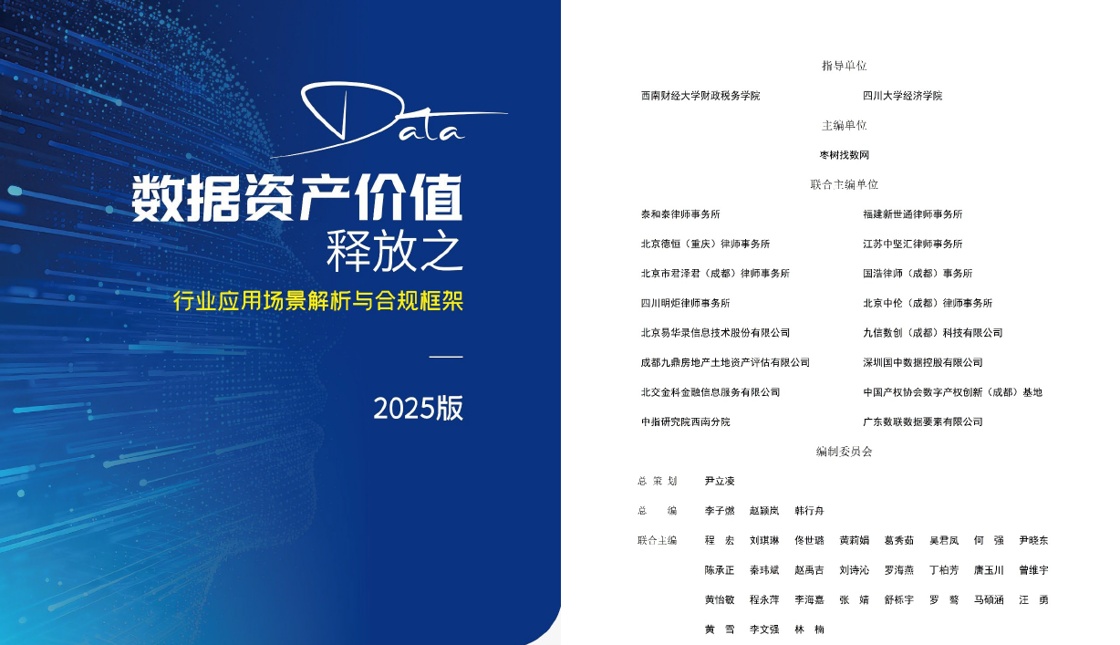 数据资产价值释放之行业应用场景解析与合规框架（2025版）数据安全-治理-指南数据安全治理指南
