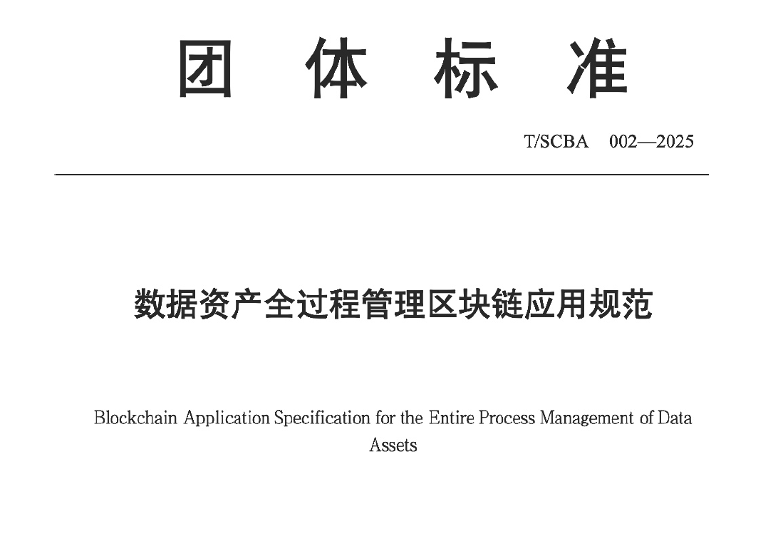 数据资产全过程管理区块链应用规范数据安全-治理-指南数据安全治理指南